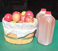 Apple Orchard Products - Apples and Cider
